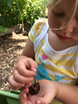 Sponsor A Worm Bin